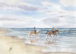 Postkarte DIN-A5 Pferdereiten am Strand DK49